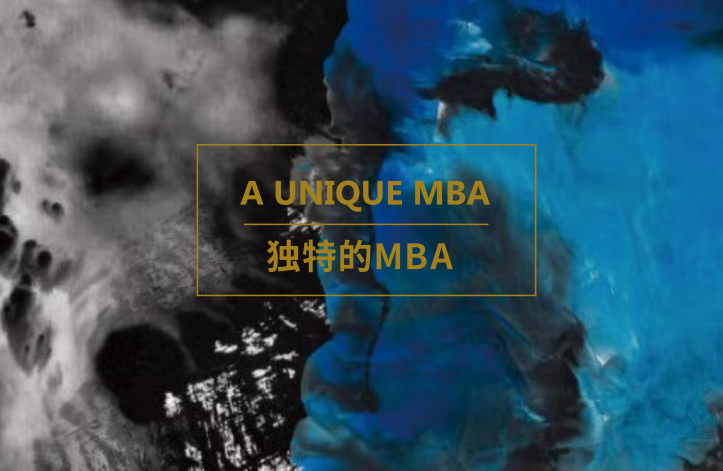 INCAE 艺术品金融 MBA